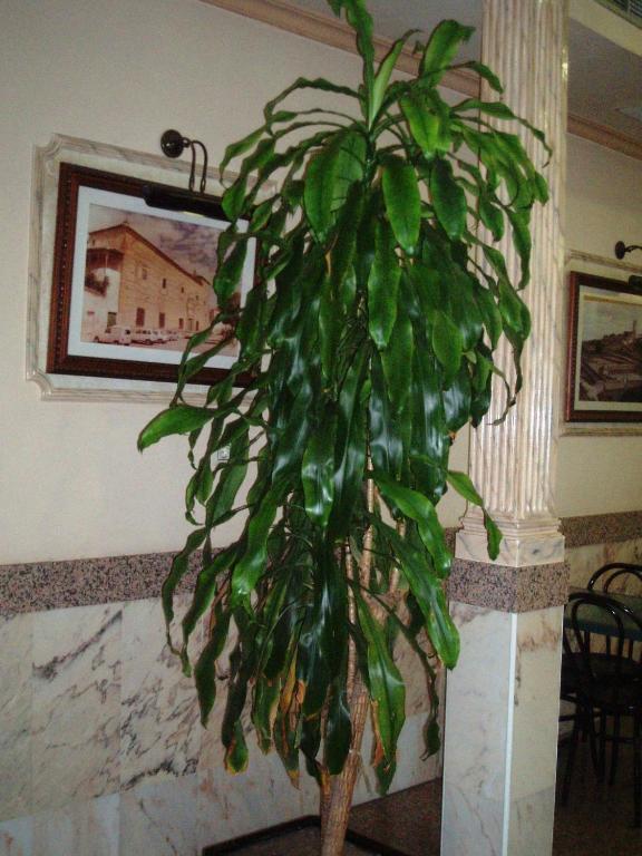 Hotel Los Hermanos Ocaña Zewnętrze zdjęcie